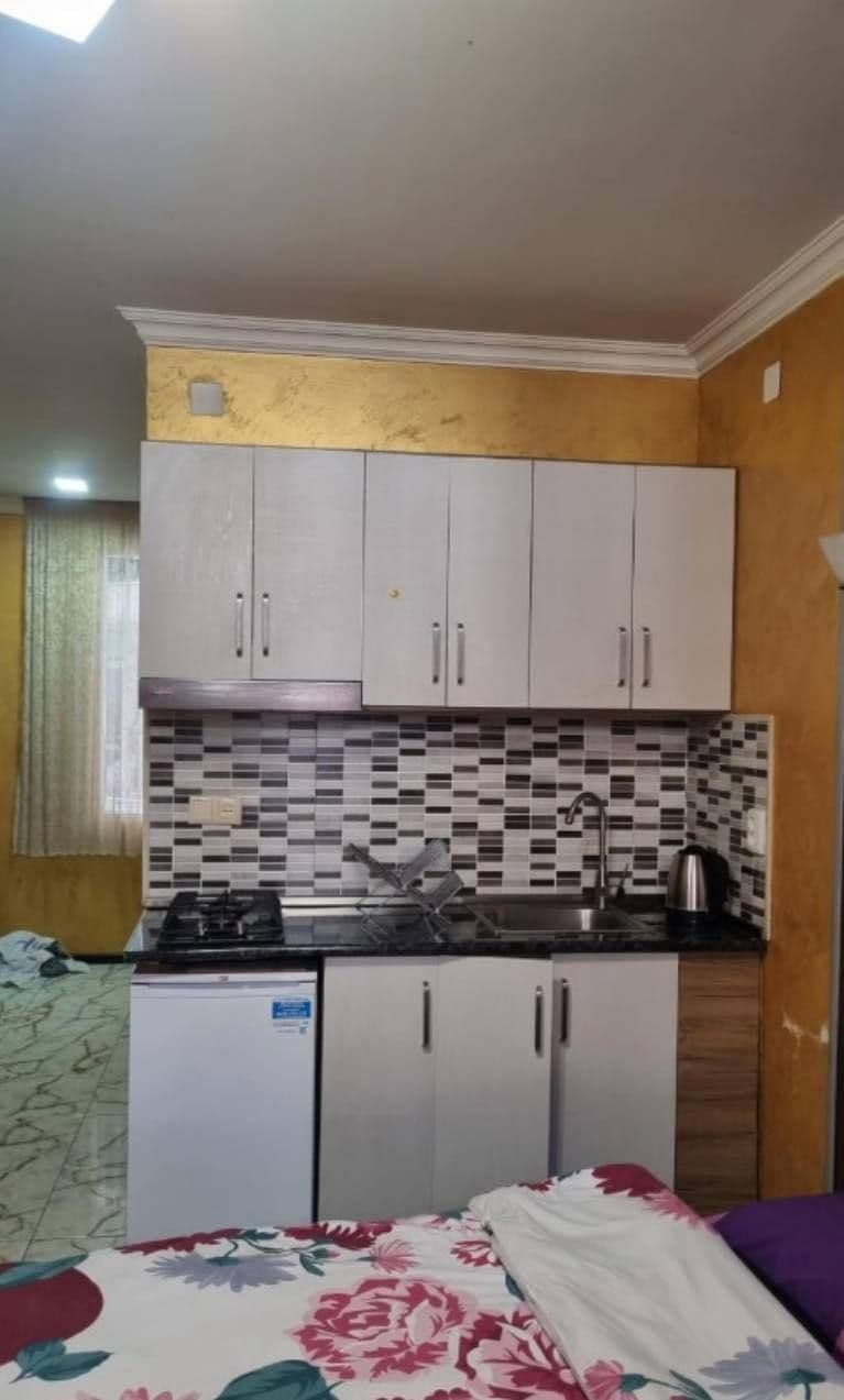 Studio, 60 m² — Agmashenebeli 1